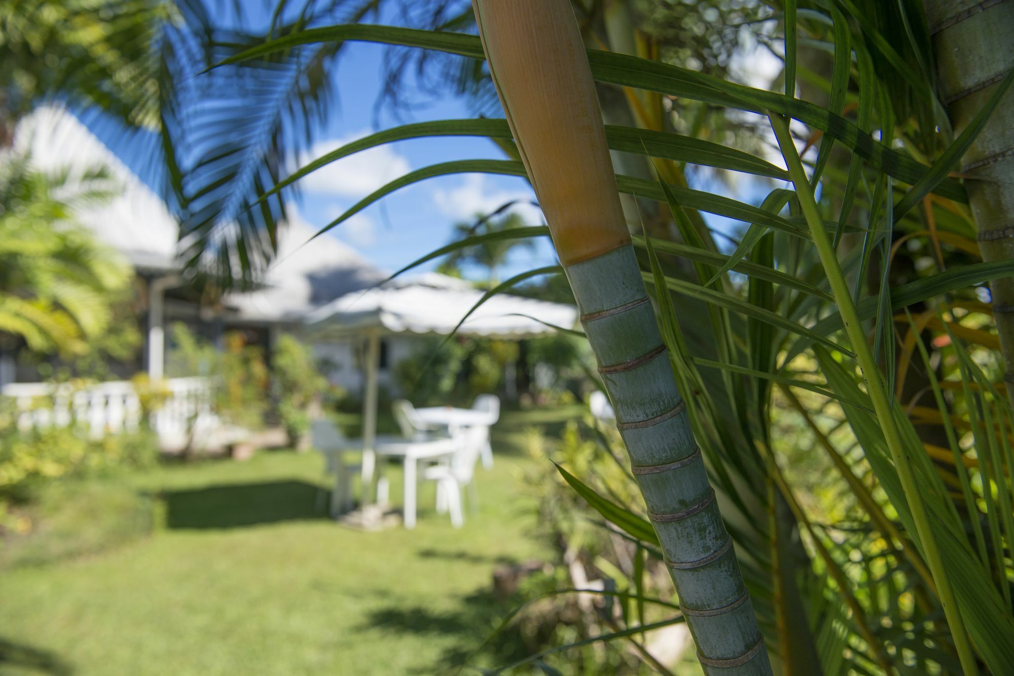 Auberge Chez Plume Anse Boileau Exterior photo