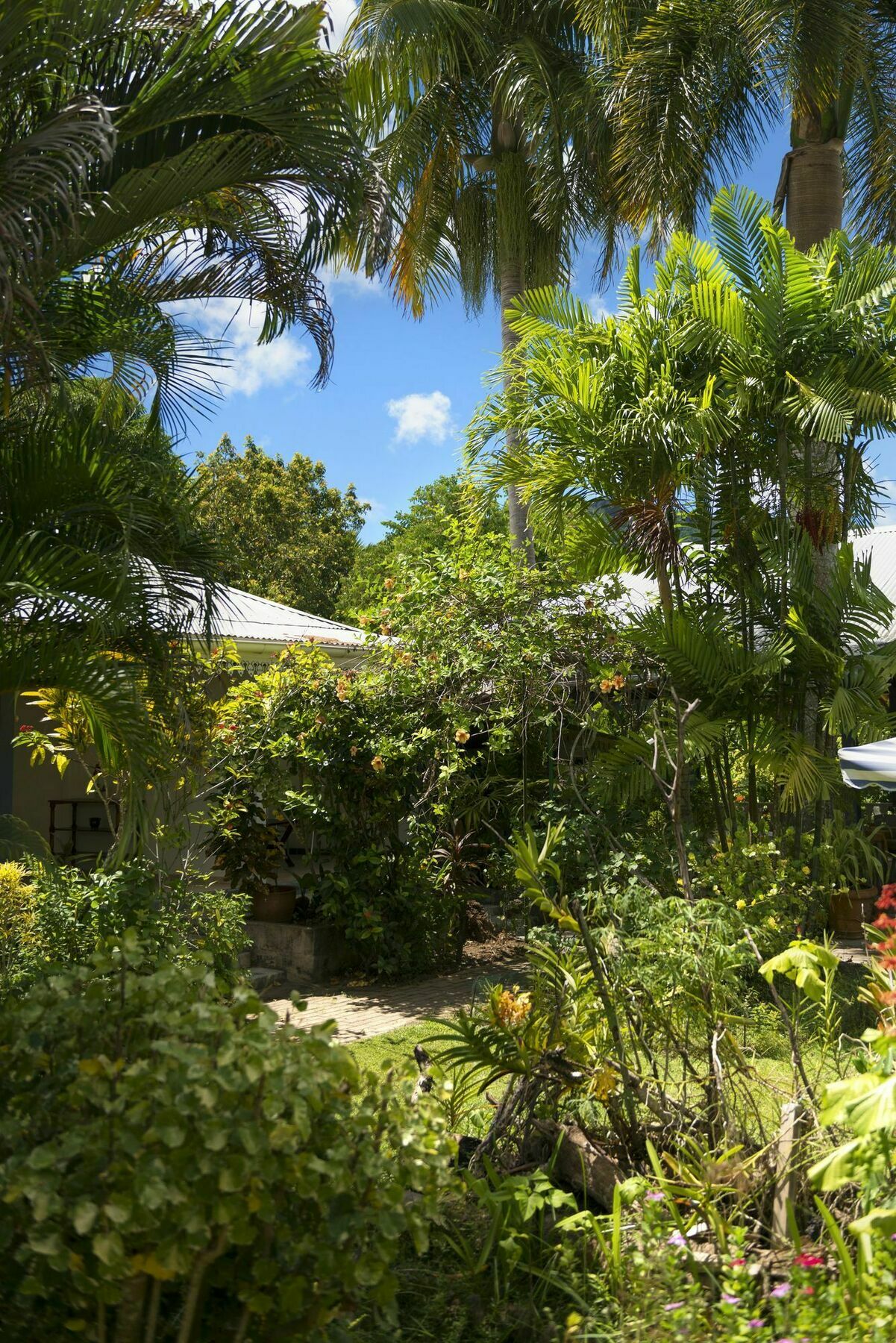 Auberge Chez Plume Anse Boileau Exterior photo